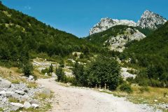 Torapass
