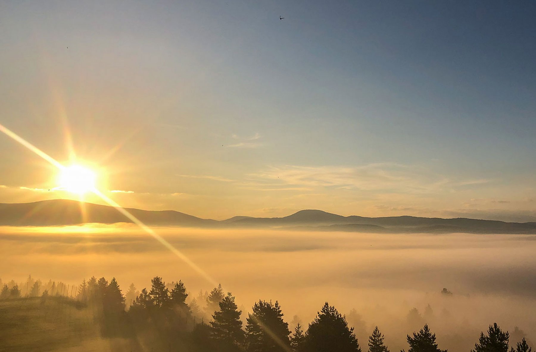 Morgenstimmung Morgenstimmung