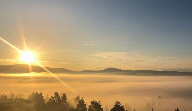 Morgenstimmung