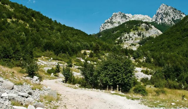 Torapass